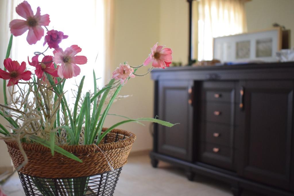 Anapaftíria Olive Villas מראה חיצוני תמונה